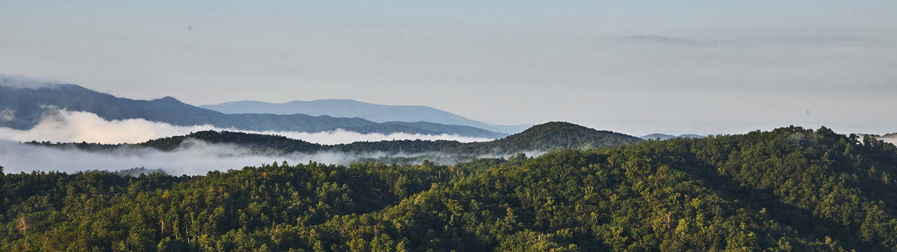 Blackberry Mountain